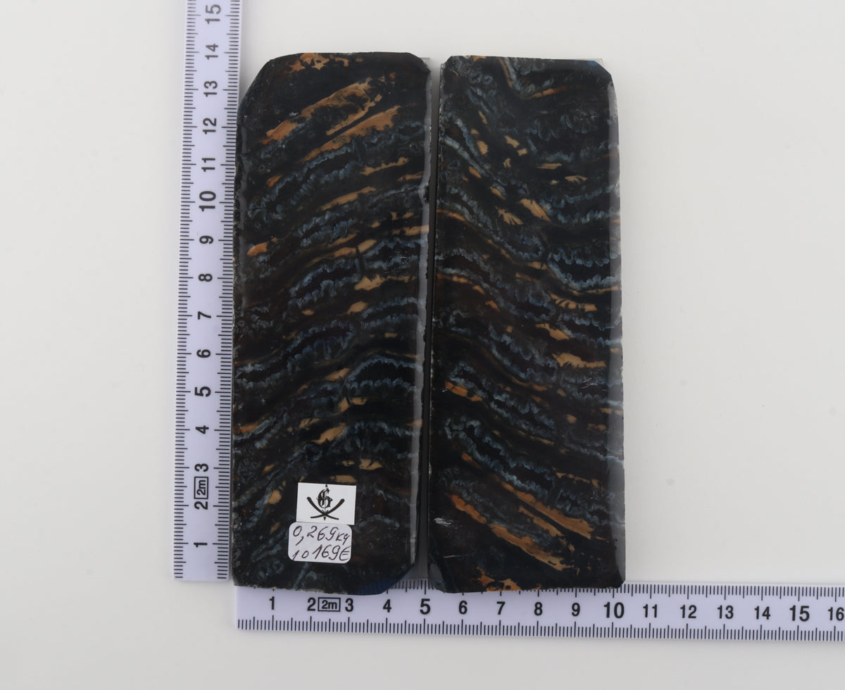 Stabilised mammoth molar scales