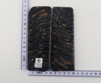 Stabilised mammoth molar scales
