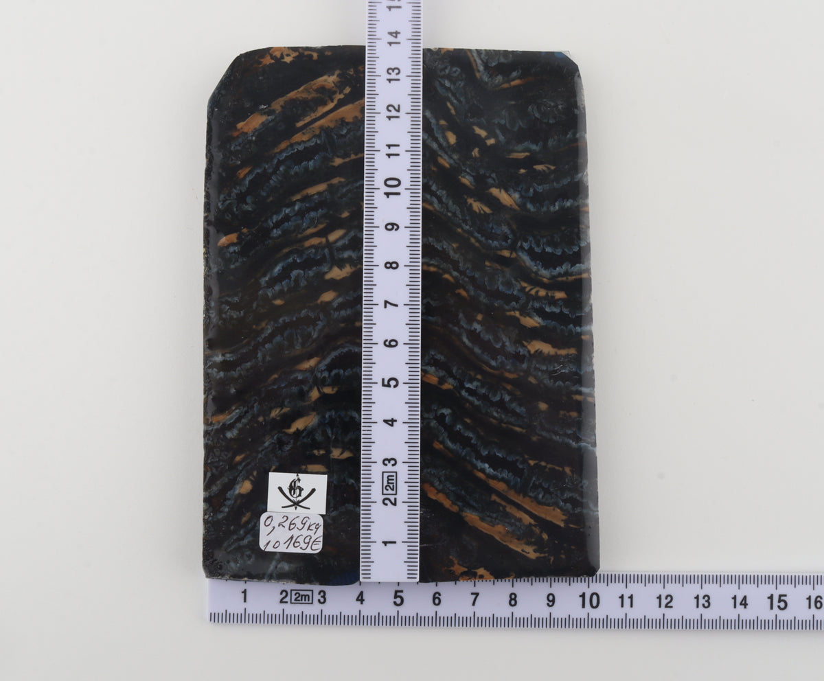 Stabilised mammoth molar scales