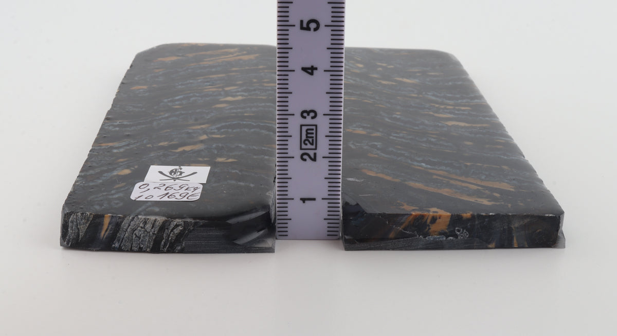 Stabilised mammoth molar scales
