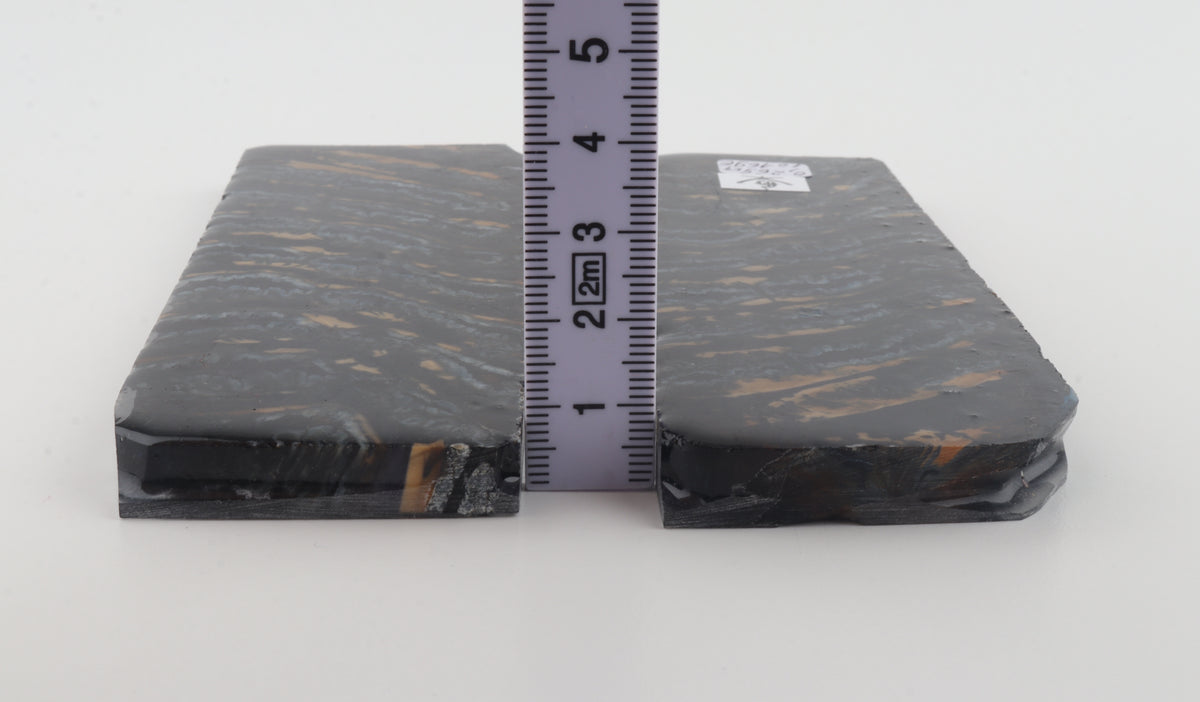 Stabilised mammoth molar scales