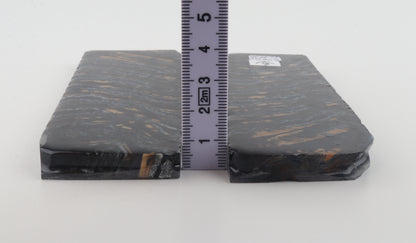 Stabilised mammoth molar scales