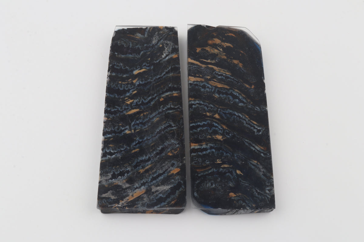 Stabilised mammoth molar scales