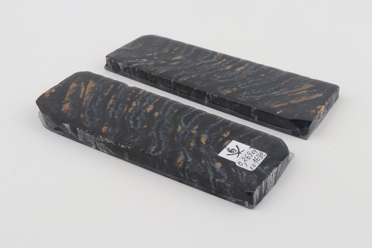 Stabilised mammoth molar scales