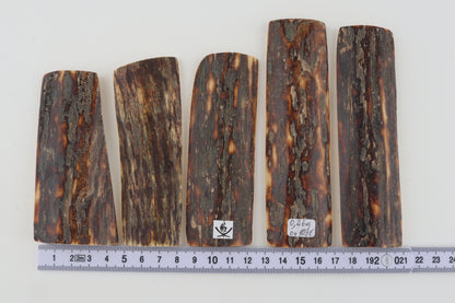 Natural mammoth bark pieces