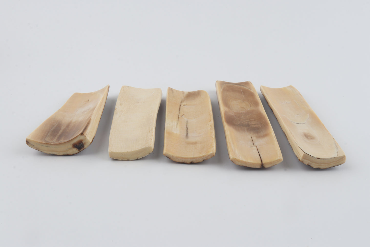 Natural mammoth bark pieces