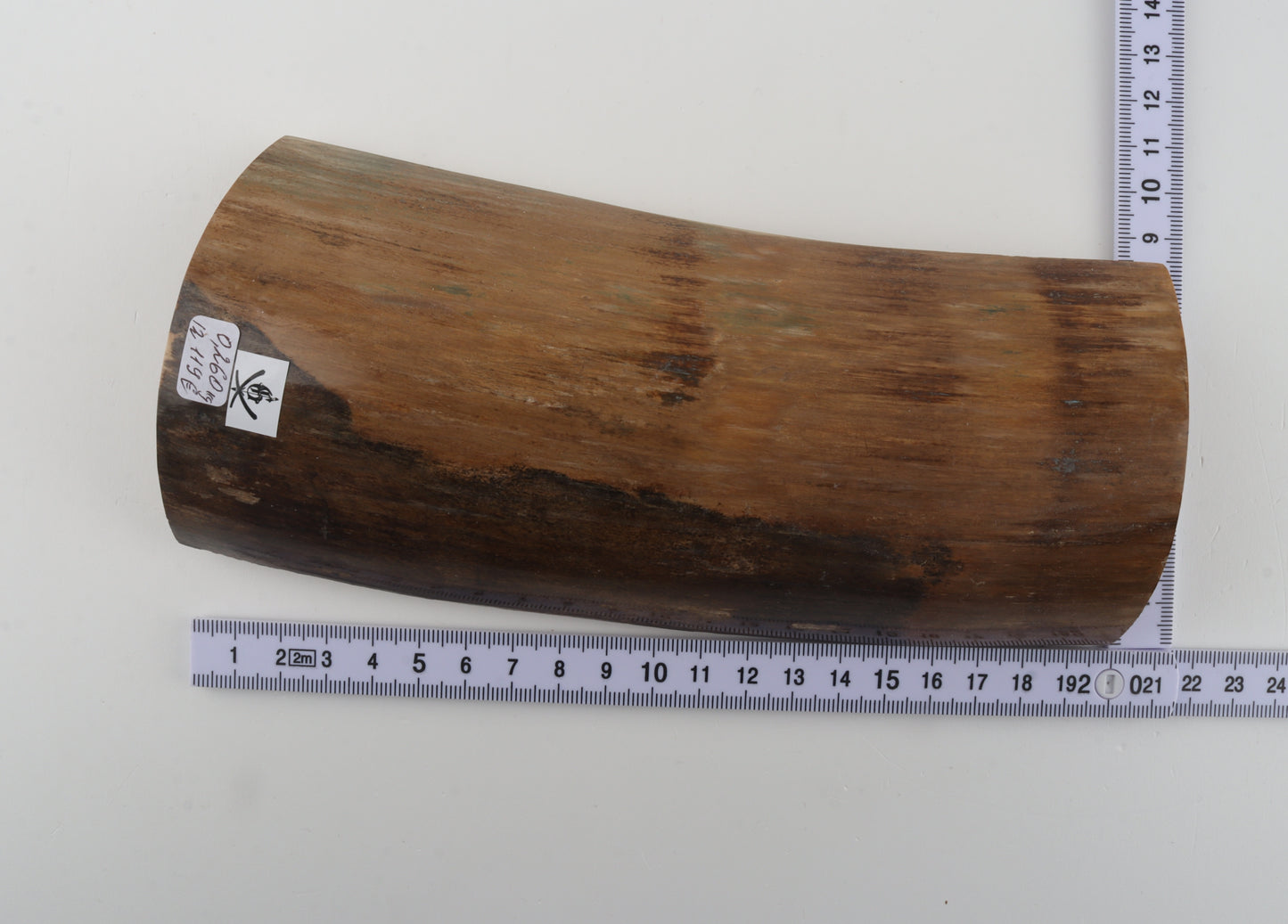 Beige-brown mammoth bark