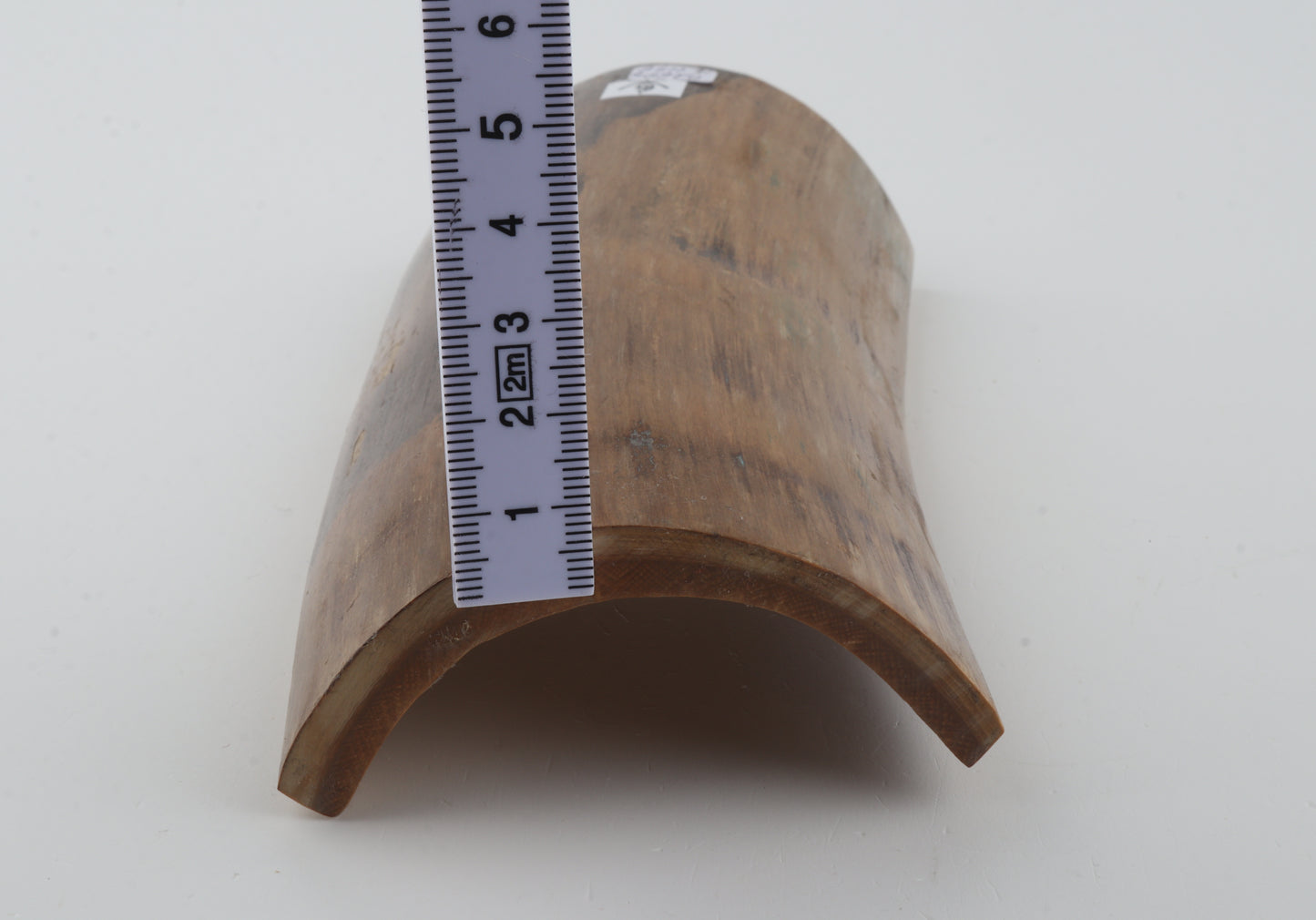 Beige-brown mammoth bark