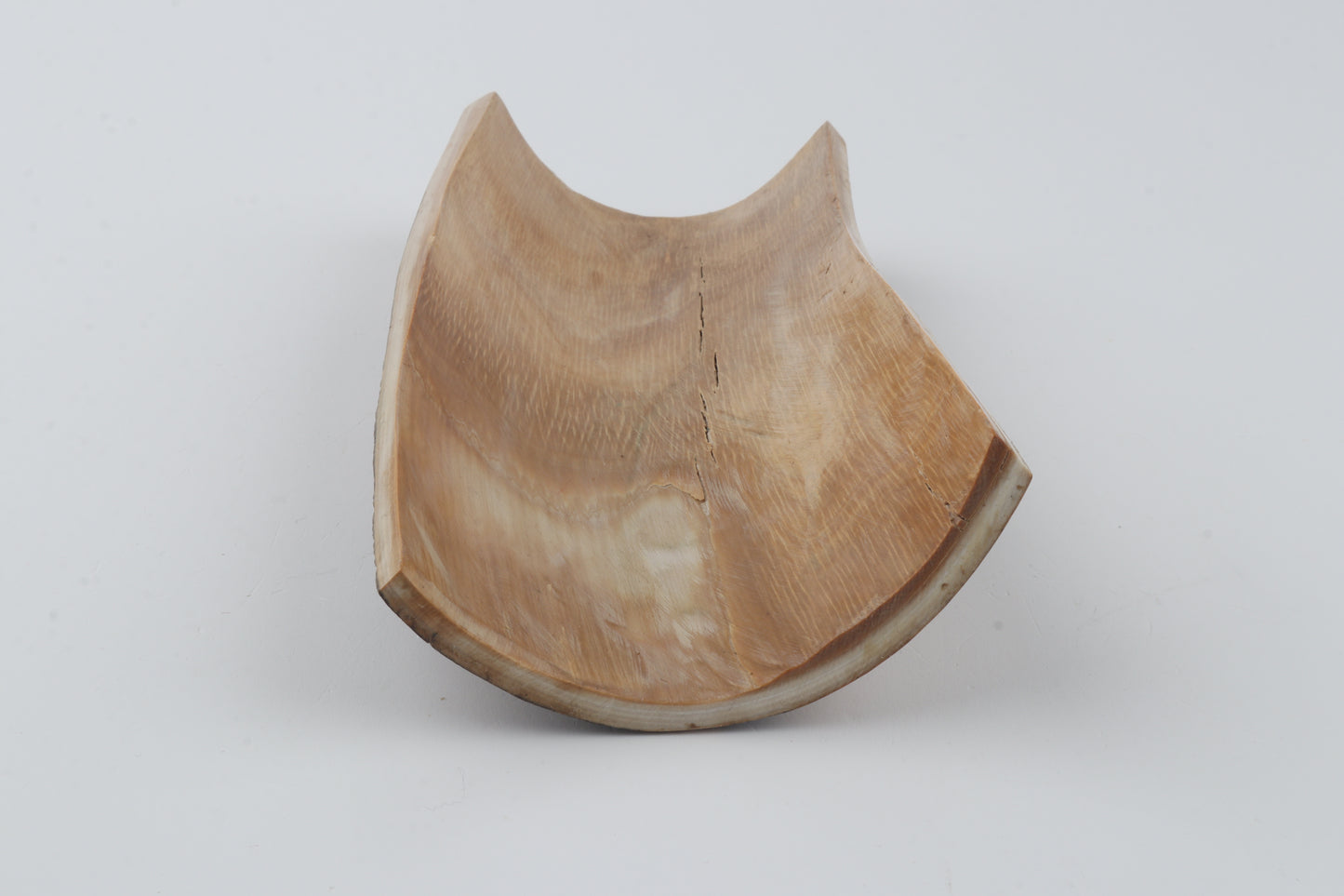 Beige-brown mammoth bark