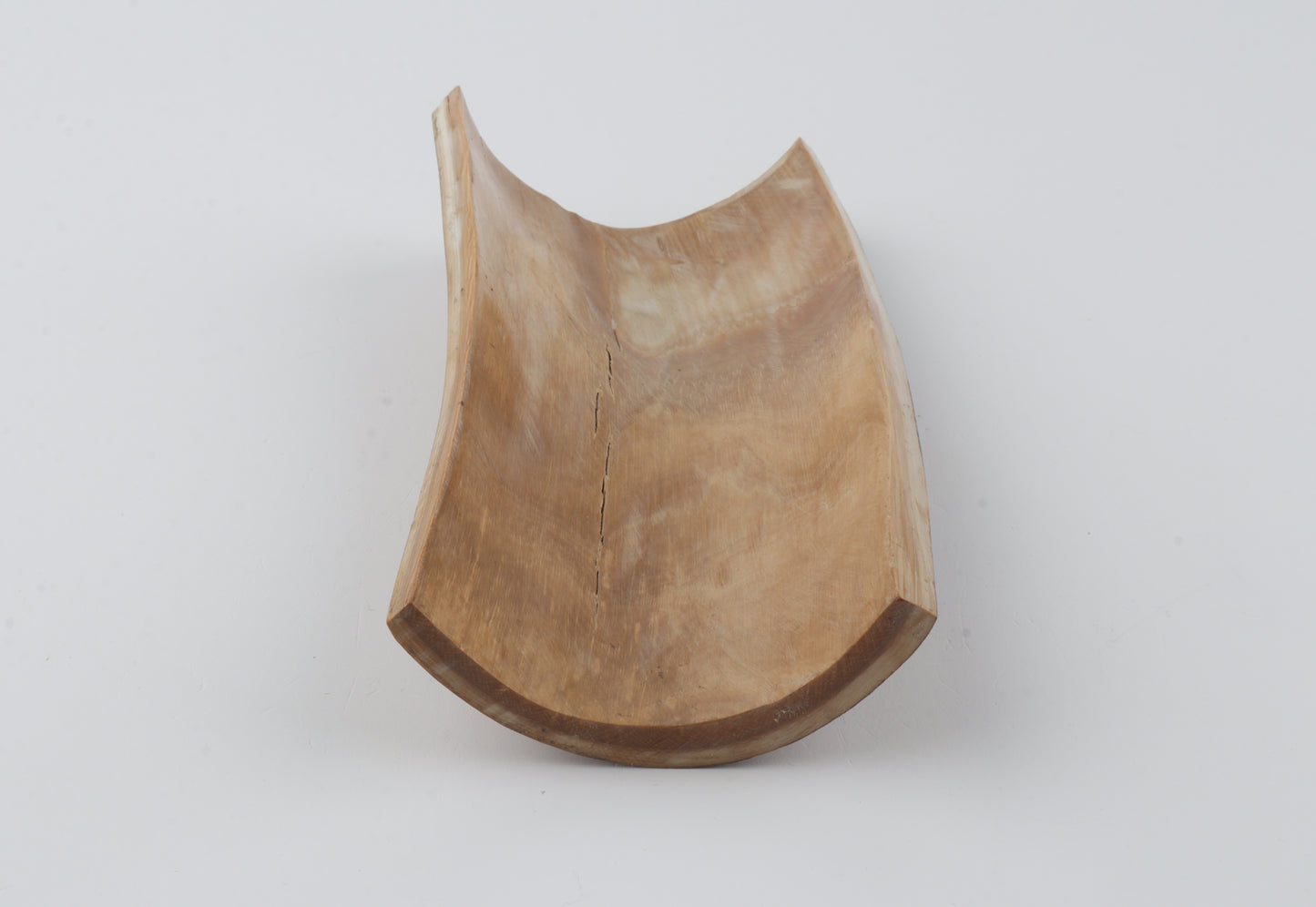 Beige-brown mammoth bark