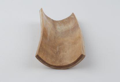 Beige-brown mammoth bark