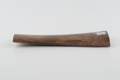 Beige mammoth bark