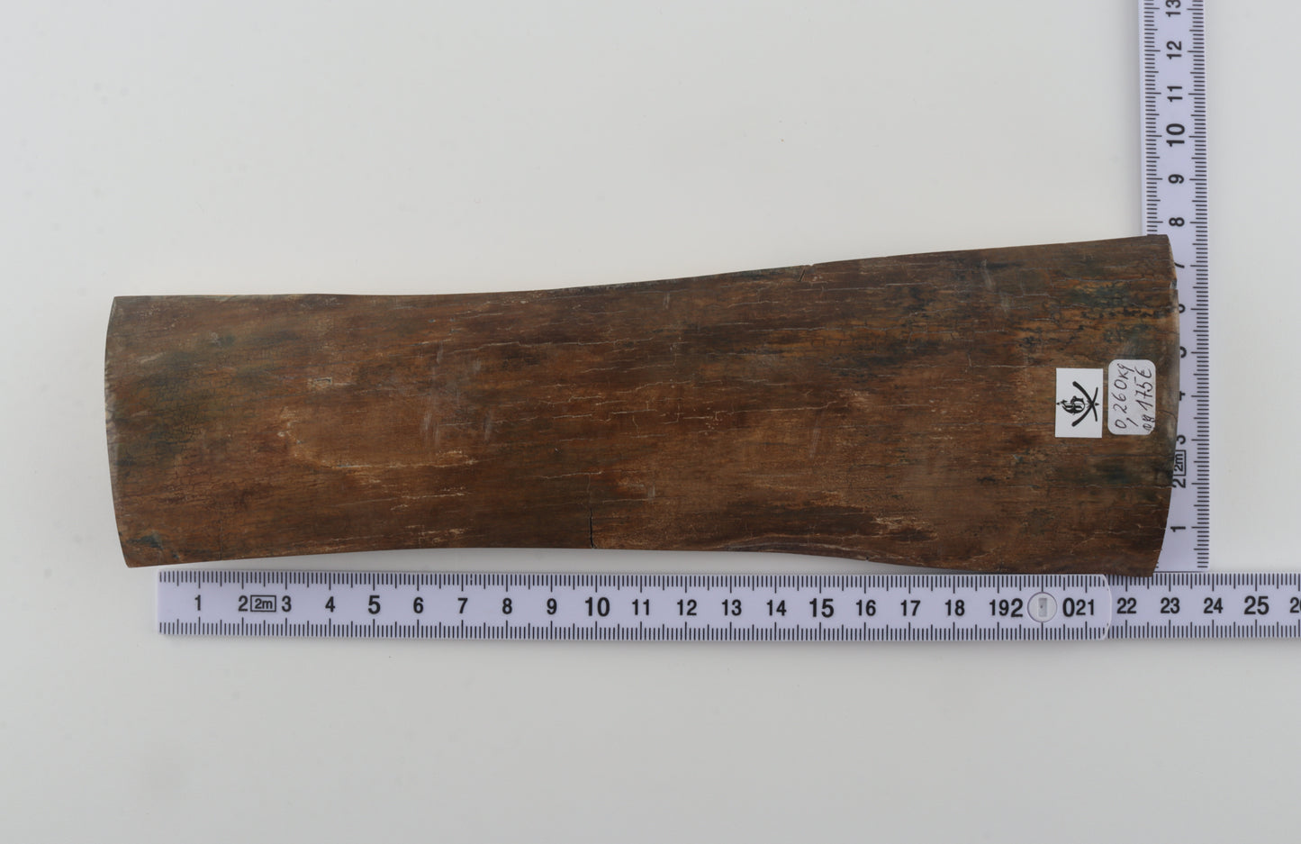 Beige mammoth bark