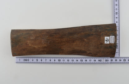 Beige mammoth bark