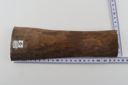 Beige mammoth bark