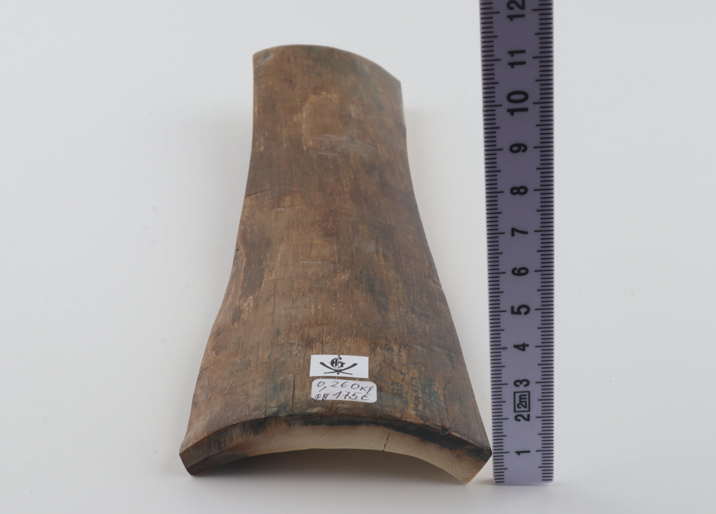 Beige mammoth bark