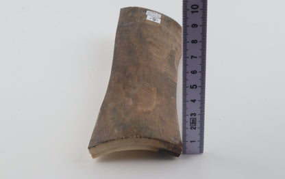 Beige mammoth bark