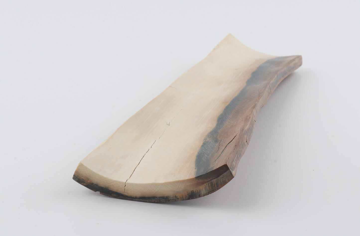 Beige mammoth bark
