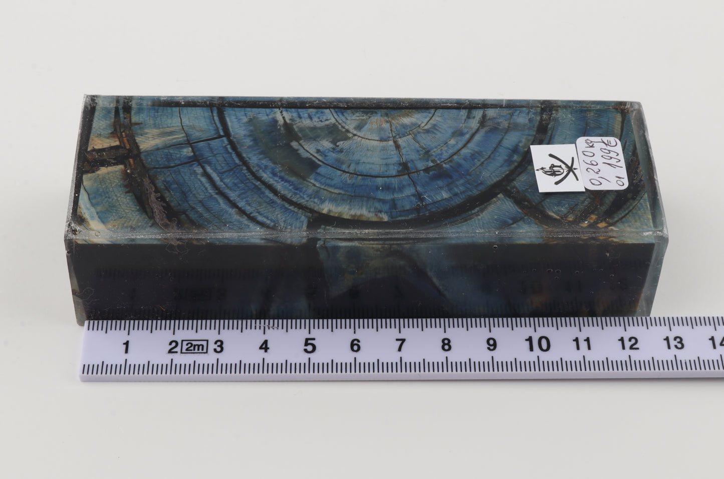 Stabilized mammoth ivory block