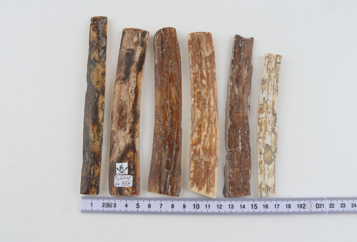 Natural mammoth bark pieces