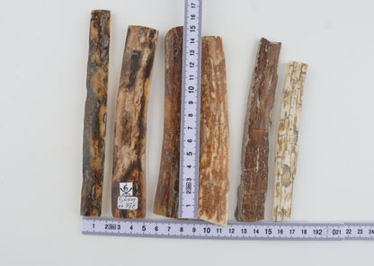 Natural mammoth bark pieces