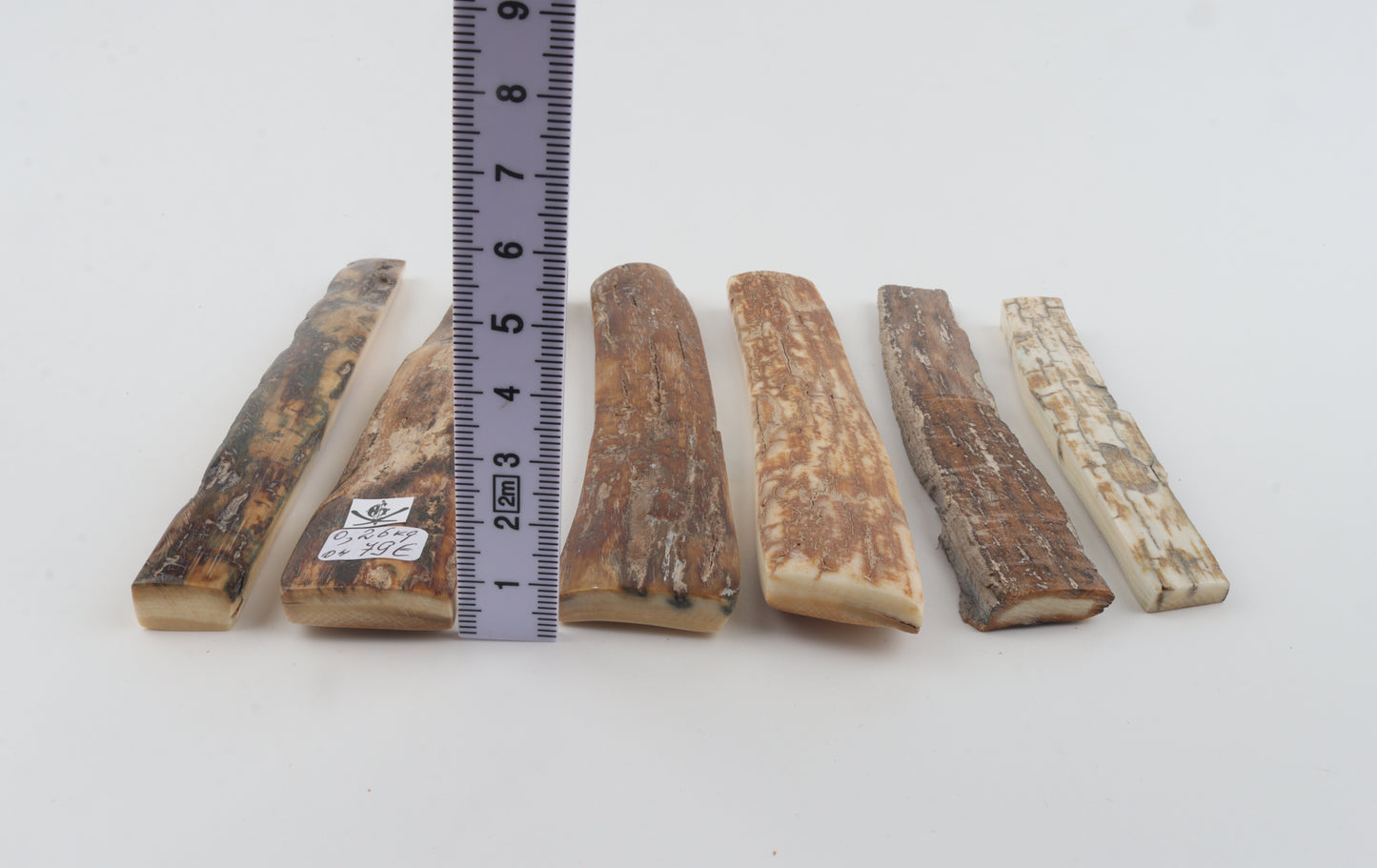 Natural mammoth bark pieces