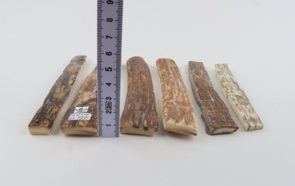 Natural mammoth bark pieces