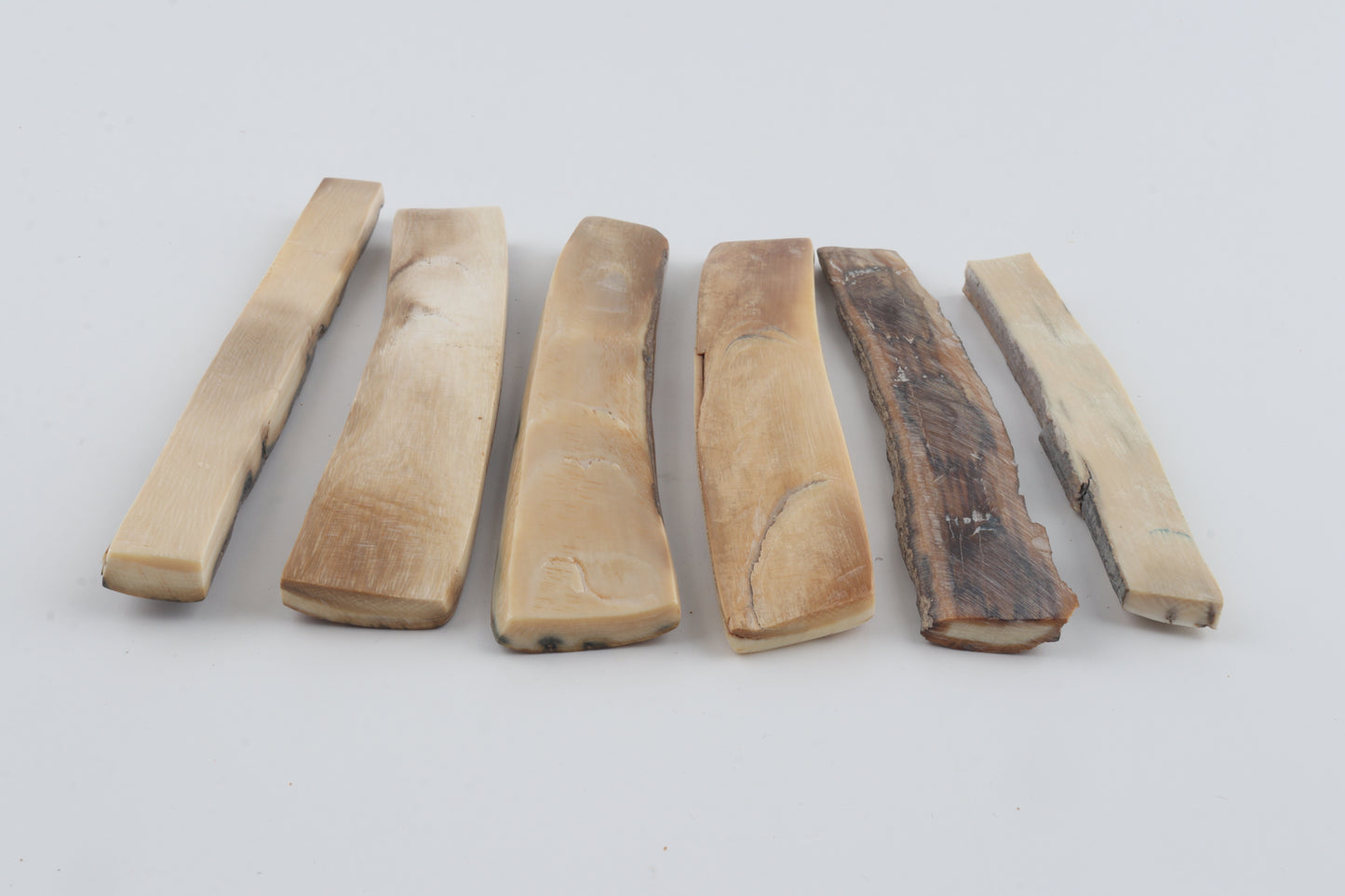 Natural mammoth bark pieces