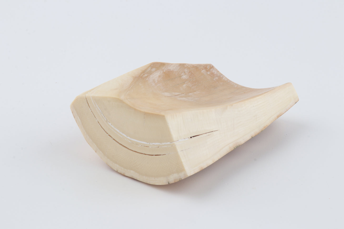 Natural mammoth ivory piece