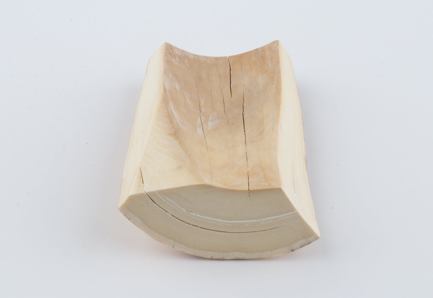Natural mammoth ivory piece