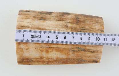 Natural mammoth ivory piece