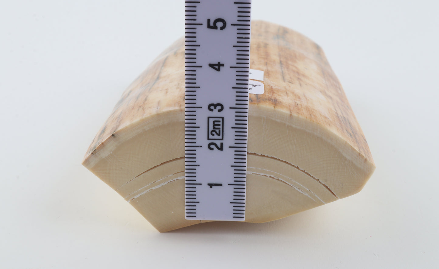 Natural mammoth ivory piece