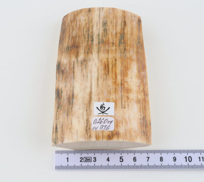 Natural mammoth ivory piece