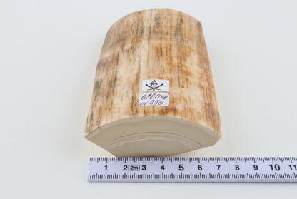 Natural mammoth ivory piece