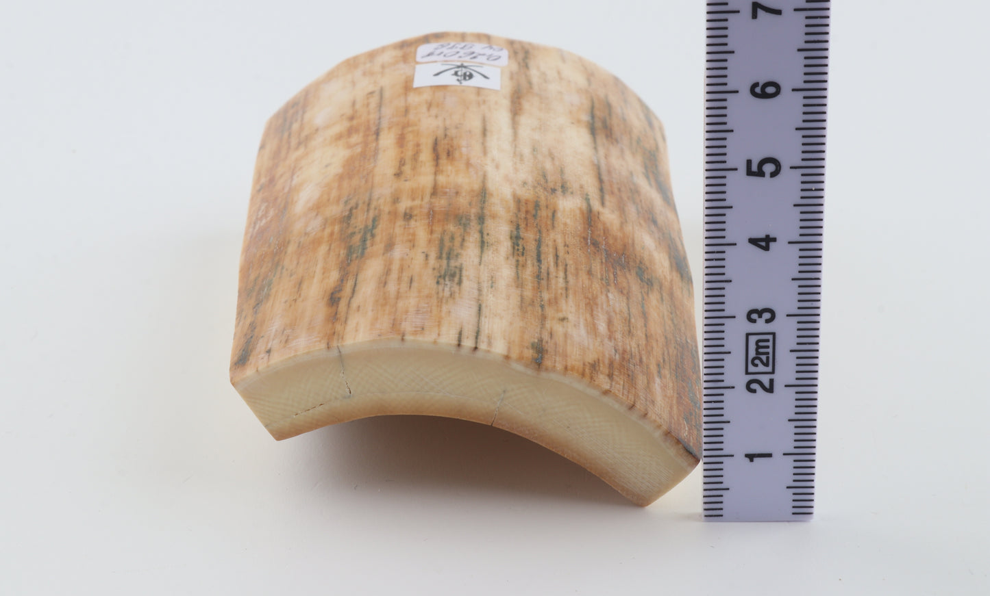Natural mammoth ivory piece
