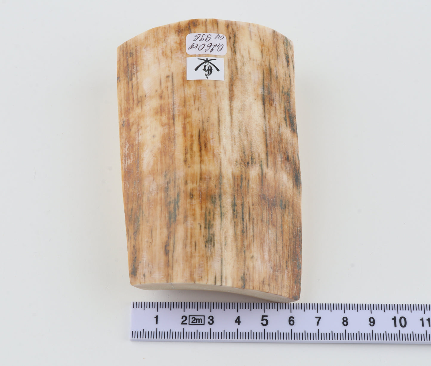 Natural mammoth ivory piece