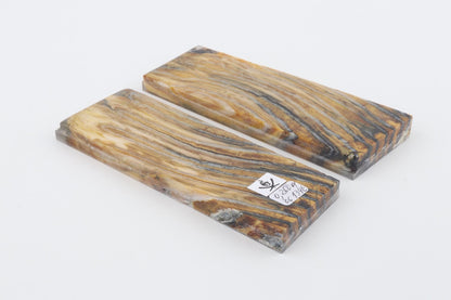 Stabilised mammoth molar scales