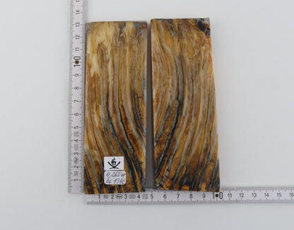 Stabilised mammoth molar scales