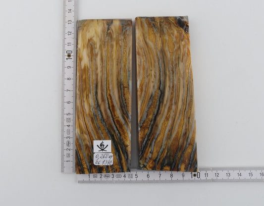 Stabilised mammoth molar scales