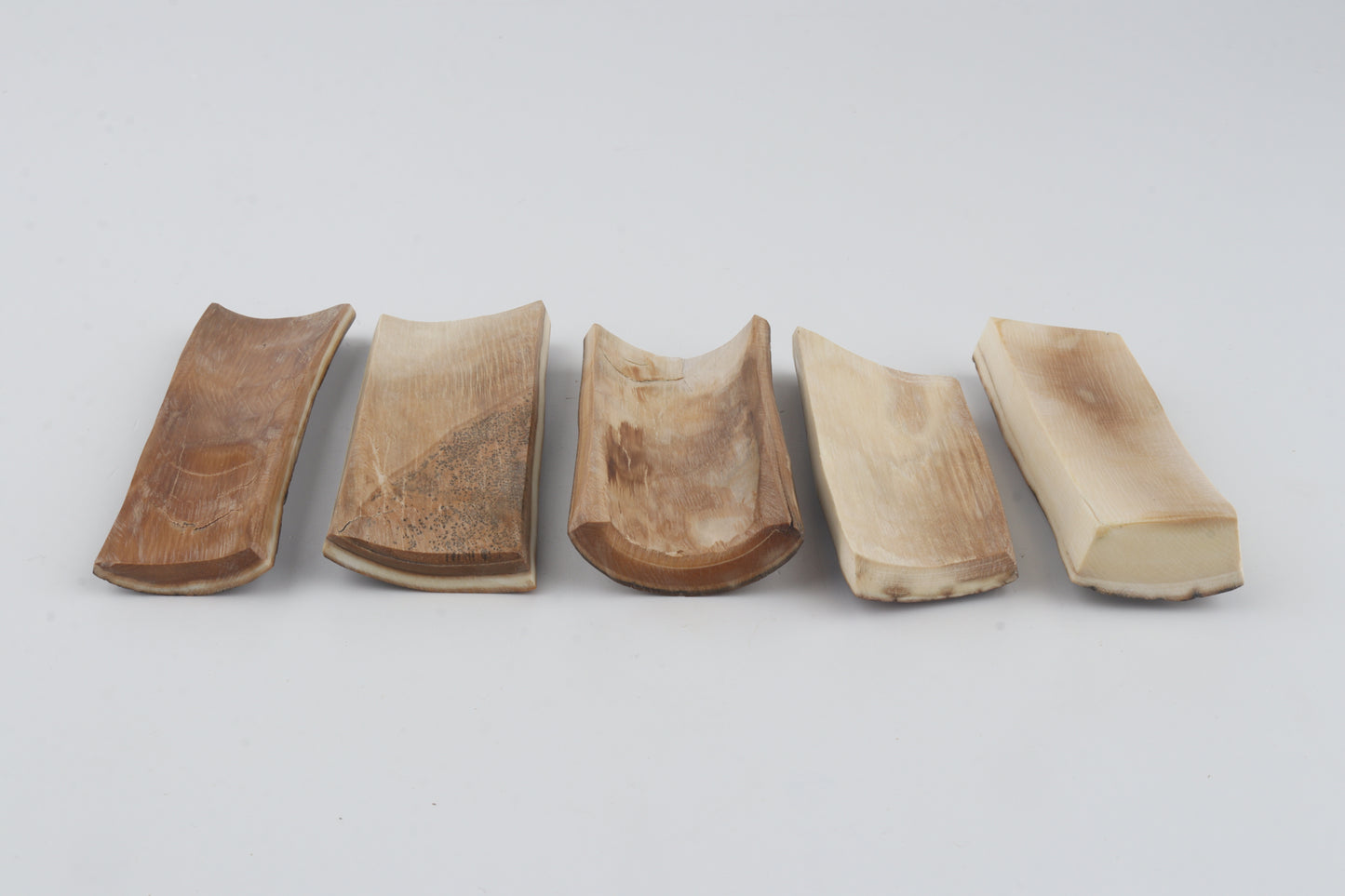 Natural mammoth bark pieces