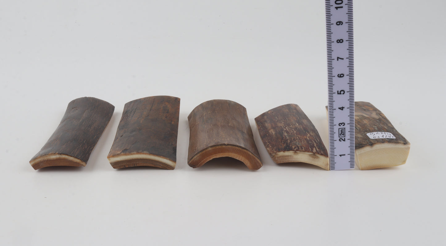 Natural mammoth bark pieces