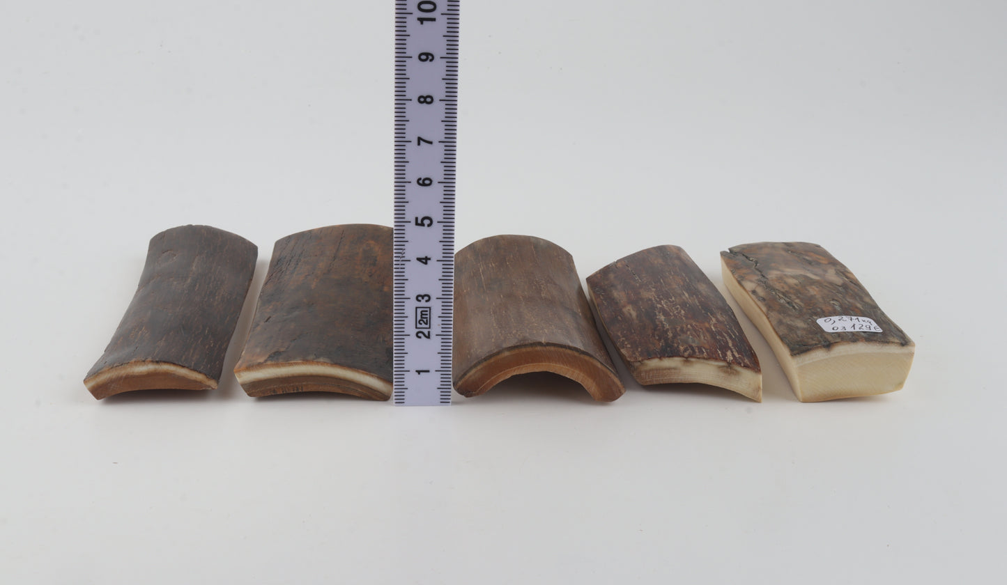 Natural mammoth bark pieces