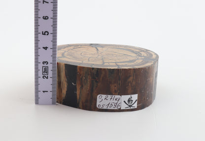 Stabilized mammoth ivory block