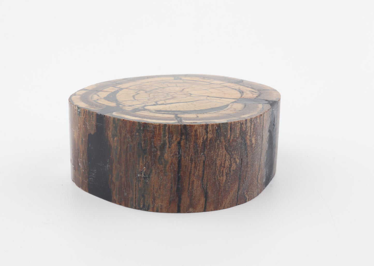 Stabilized mammoth ivory block
