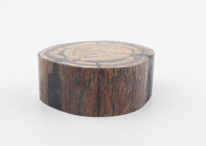 Stabilized mammoth ivory block