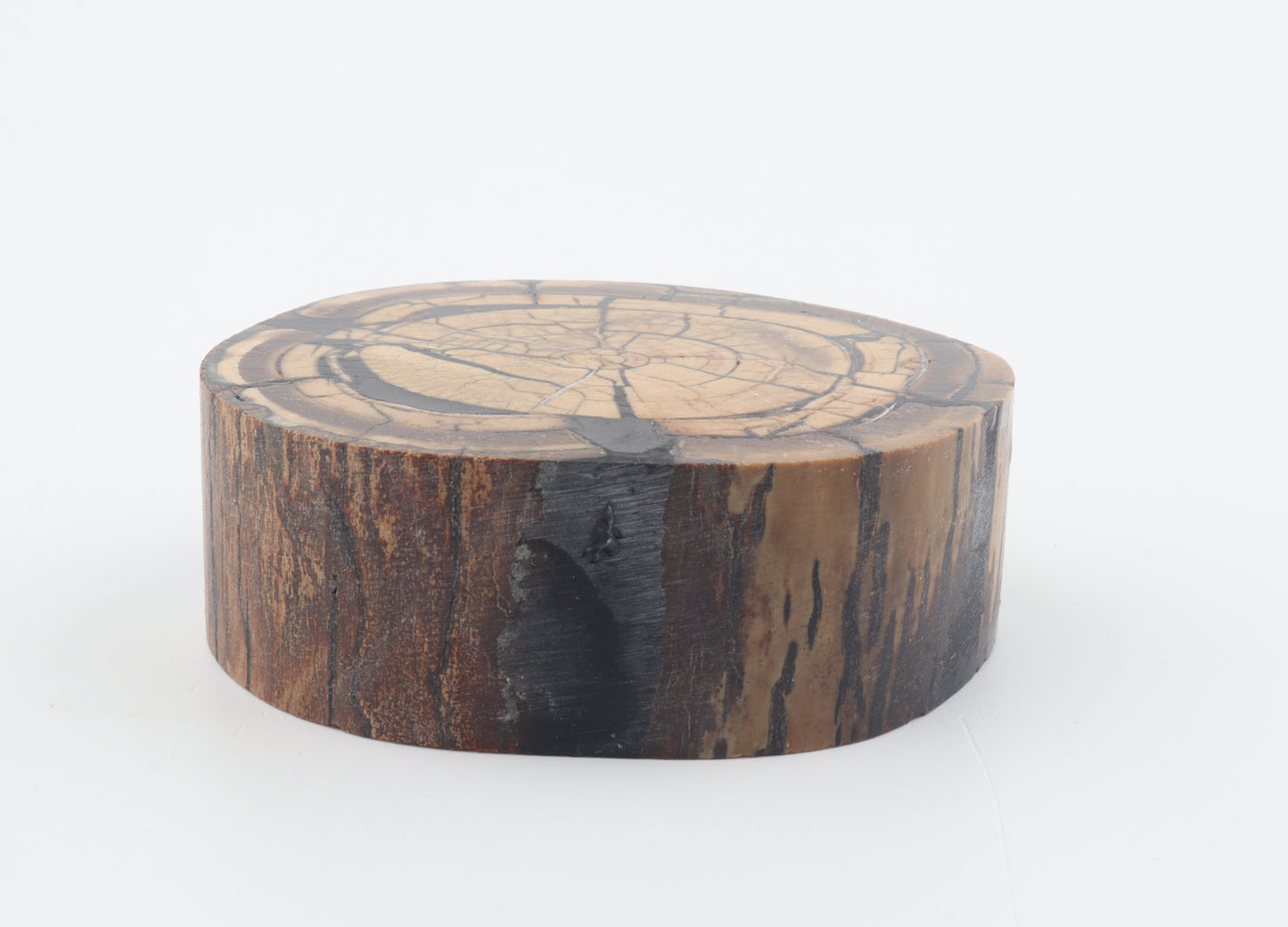 Stabilized mammoth ivory block