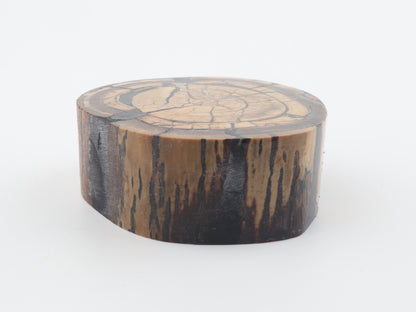 Stabilized mammoth ivory block