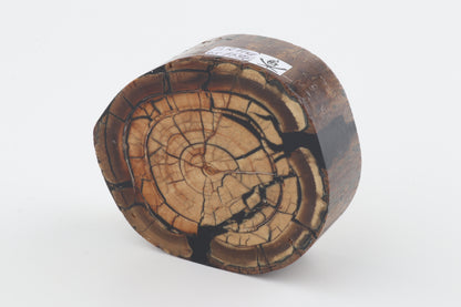 Stabilized mammoth ivory block