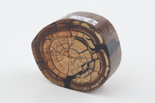 Stabilized mammoth ivory block