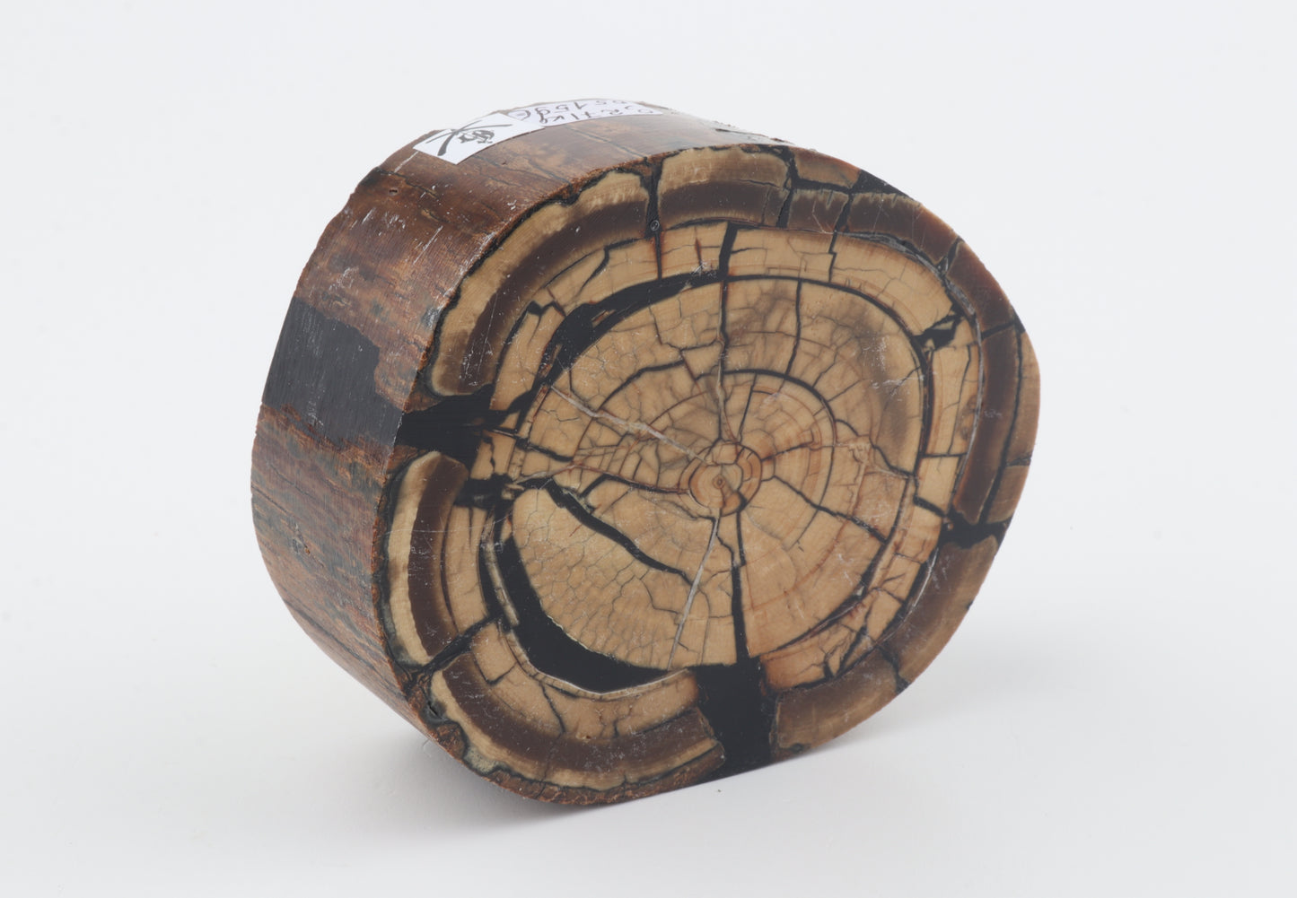 Stabilized mammoth ivory block